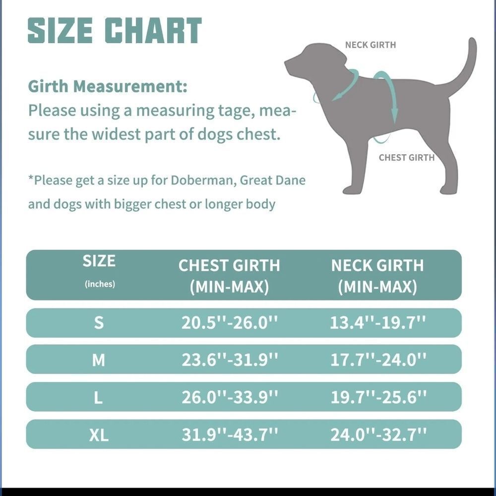 Dog Harness Set - Picture 3 of 11